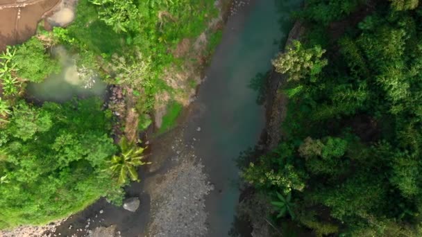 Green Riverside Top Aerial Footage View Water Reflection Green Trees — Stockvideo