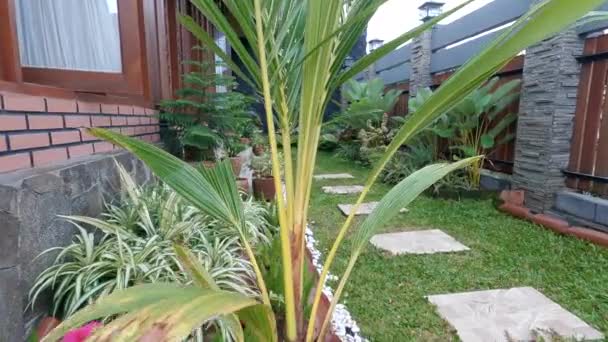 Ungkapkan dorongan dalam gambar kebun hijau — Stok Video