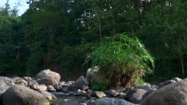 Doğal ve güzel nehir manzaralı kayalar, kayalar ve yeşil ağaçlar.