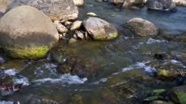 Kayalık nehir kıyısında yüksek açılı su akışı