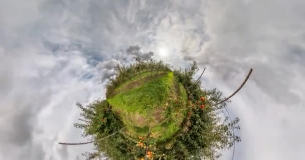 Malá Planeta Točí Kroutí Dívá Jablečného Sadu Otočení Smyčky Zakřivení — Stock video