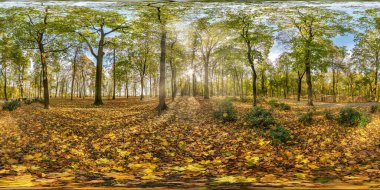 Tam kusursuz küresel hdri panorama 360 derecelik açıyla güzel sonbahar ormanını ya da ağaçların arasından parlayan parlak güneşli parkı eş dikdörtgen projeksiyonla, hazır VR AR içeriği