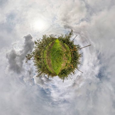 Küresel panoramanın 360 derecelik küçük gezegen dönüşümü. Apple Meyve Bahçesi 'nde küresel soyut hava manzarası. Uzayın eğriliği.