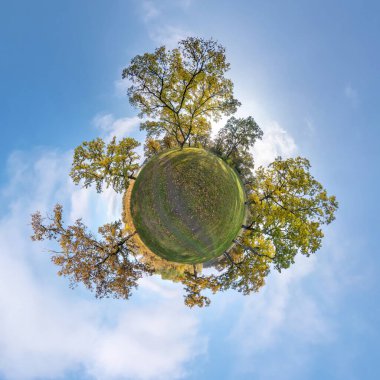 Küresel panoramanın 360 derecelik küçük gezegen dönüşümü. Oak Grove 'daki küresel soyut hava manzarası ve altın sonbaharda sakar dallar. Uzayın eğriliği.