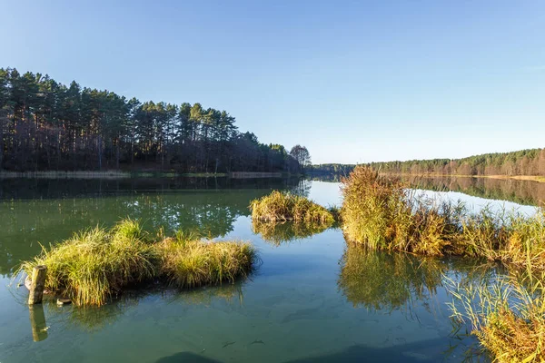 Panorama Magnífico Paisaje Amplio Lago Pinery Forest — Foto de Stock