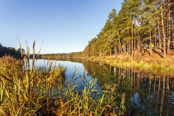 Panorama Magnífico Paisaje Amplio Lago Pinery Forest — Foto de Stock