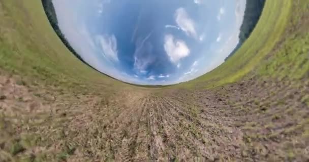 Pequeno Planeta Verde Gira Entre Campos Com Céu Azul Bonito — Vídeo de Stock