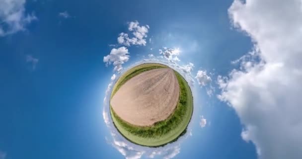 Groene Kleine Planeet Draait Tussen Velden Met Prachtige Blauwe Lucht — Stockvideo