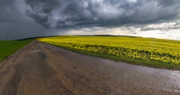 Lenta Transformación Del Paisaje Diminuto Planeta Camino Asfalto Húmedo Entre — Vídeo de stock