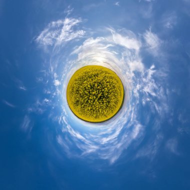 Küresel panoramanın 360 derecelik küçük gezegen dönüşümü. Kolza tohumu tarlasında muhteşem bulutlarla küresel soyut hava görüntüsü. Uzayın eğriliği.