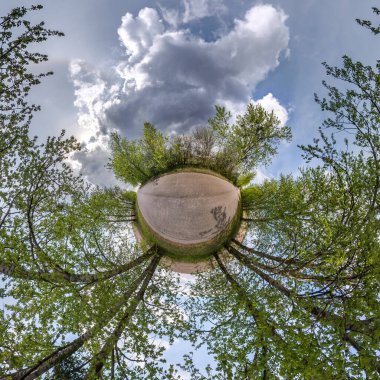 Küresel panoramanın 360 derecelik küçük gezegen dönüşümü. Ormanda sakar dalları olan küresel soyut hava manzarası. Uzayın eğriliği.