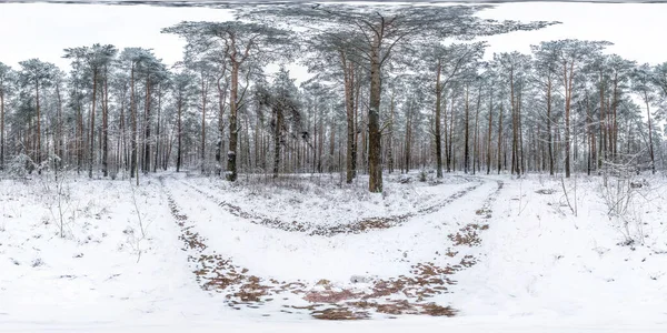 Зимняя Полная Сферическая Панорама Hdri 360 Градусов Угол Зрения Грунтовую — стоковое фото