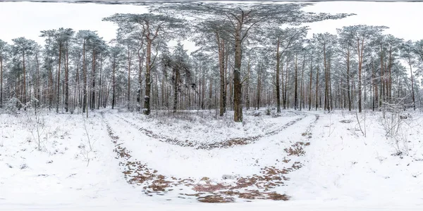 Hiver Plein Panorama Sphérique Hdri 360 Degrés Vue Angle Sur — Photo