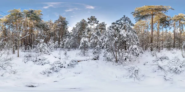 Panorama Hdri Esférico Completo Inverno 360 Graus Vista Ângulo Floresta — Fotografia de Stock