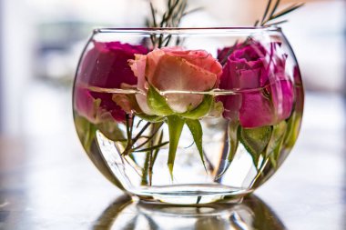 Süsleme pembe gül tomurcukları bir bardak suda