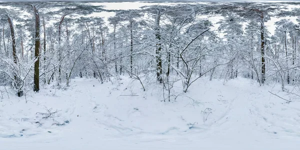 겨울에는 파노라마 360 각도로 눈덮인 피너리 오솔길을 직사각형으로 바라본다 컨텐츠 — 스톡 사진