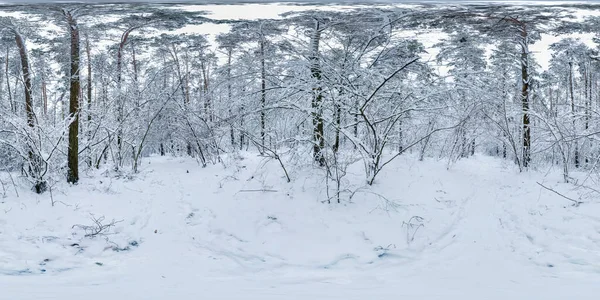 Invierno Completo Esférico Hdri Panorama 360 Grados Ángulo Visión Camino — Foto de Stock