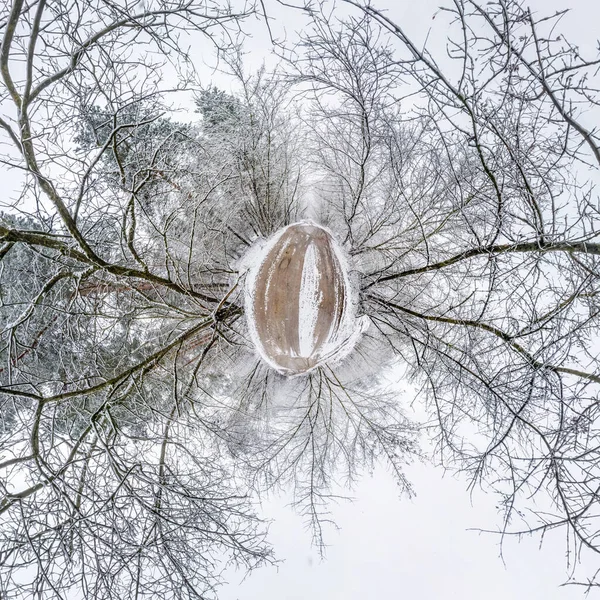 Winter tiny planet in snow covered forest. transformation of spherical panorama 360 degrees. Spherical abstract aerial view in forest. Curvature of space.