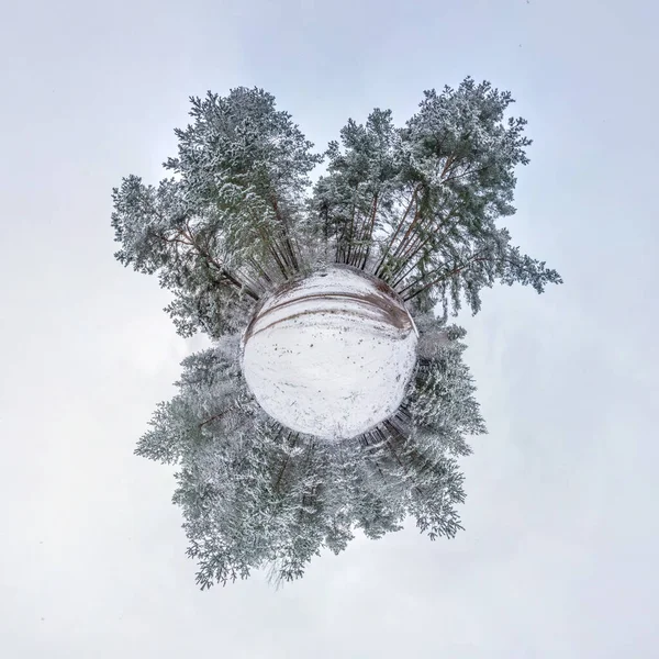 Winter tiny planet in snow covered forest. transformation of spherical panorama 360 degrees. Spherical abstract aerial view in forest. Curvature of space.