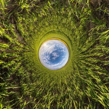 blue sky ball among green grass. Inversion of tiny planet transformation of spherical panorama 360 degrees. Spherical abstract view. Curvature of space. clipart
