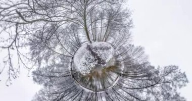 Küçük gezegenin dönüşümü ve uzayın eğriliği ile yavaş dönüyor. Kış ormanında tam küresel manzara