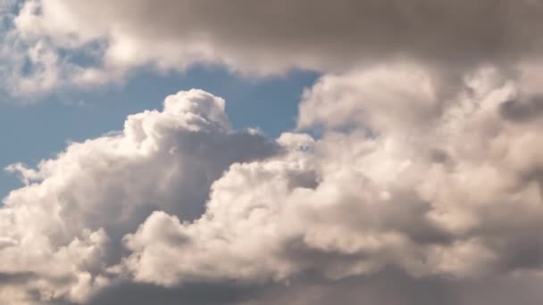 Zeitraffer Blauer Himmelshintergrund Mit Vielen Schichten Flauschiger Winziger Stratus Cirrus — Stockvideo