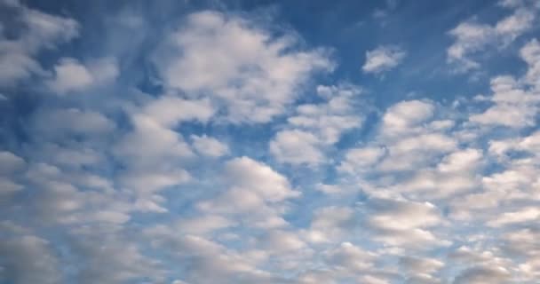 Временной Отрезок Голубого Неба Многими Слоями Пушистых Крошечных Слоёв Циррусовых — стоковое видео