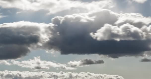 Time Lapse Blue Sky Background Many Layers Fluffy Tiny Stratus — Stock Video