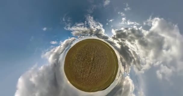 Rotierende Kreisrunde Landschaft Mit Grünem Feld Einen Kleinen Planeten Schönen — Stockvideo