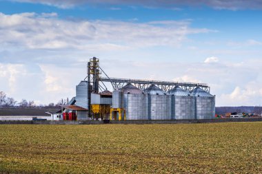 Granary asansörü. Tarım işleme ve imalat tesisinde tarım ürünleri, un, tahıl ve tahıl işleme ve depolama için gümüş silolar. 