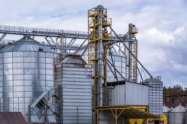 Granary asansörü. Tarım işleme ve imalat tesisinde tarım ürünleri, un, tahıl ve tahıl işleme ve depolama için gümüş silolar. 