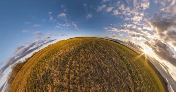 Маленька Планета Обертається Серед Полів Красивим Блакитним Небом Вечірніми Хмарами — стокове відео