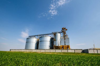 Modern Granary asansörü. Tarım işleme ve üretim tesisinde tarım ürünleri, un, tahıl ve tahıl işleme ve depolama için gümüş silolar. tohum temizleme hattı 