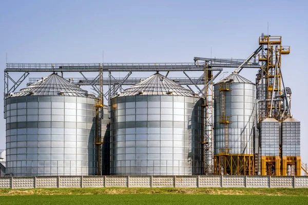 Modern Granary Asansörü Tarım Işleme Üretim Tesisinde Tarım Ürünleri Tahıl — Stok fotoğraf