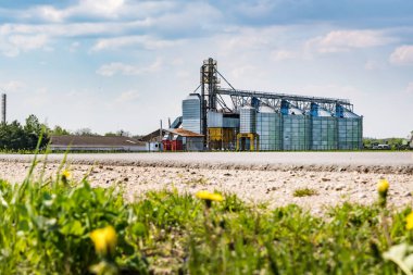 Modern Granary asansörü. Tarım işleme ve üretim tesisinde tarım ürünleri, un, tahıl ve tahıl işleme ve depolama için gümüş silolar. tohum temizleme hattı 
