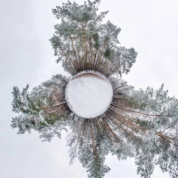 Χειμωνιάτικο Μικροσκοπικό Πλανήτη Χιονισμένο Πευκοδάσος Μετατροπή Σφαιρικού Πανοράματος 360 Μοιρών — Φωτογραφία Αρχείου