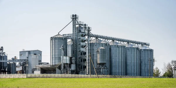 Lift Granary Modern Silo Perak Pada Pabrik Pengolahan Agro Dan — Stok Foto