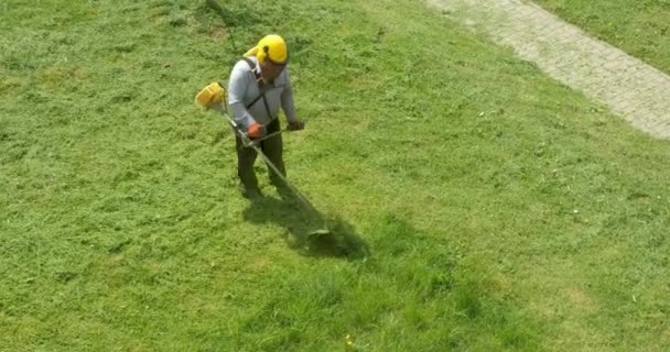 Gazonmaaier Man Werknemer Maaien Droog Gras Met Grasmaaier — Stockvideo