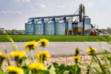 Modern Granary asansörü. Tarım işleme ve üretim tesisinde tarım ürünleri, un, tahıl ve tahıl işleme ve depolama için gümüş silolar. tohum temizleme hattı 