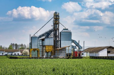 Modern Granary asansörü. Tarım işleme ve üretim tesisinde tarım ürünleri, un, tahıl ve tahıl işleme ve depolama için gümüş silolar. tohum temizleme hattı 