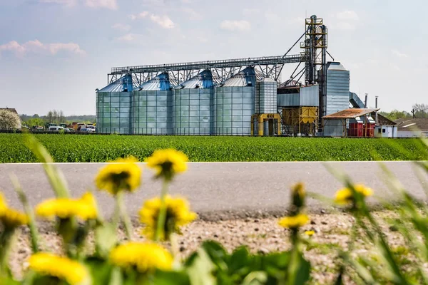 现代粮仓电梯 用于加工农产品 谷物和谷物的干洗和储存的农业加工和制造厂银仓 种子清洗生产线 — 图库照片
