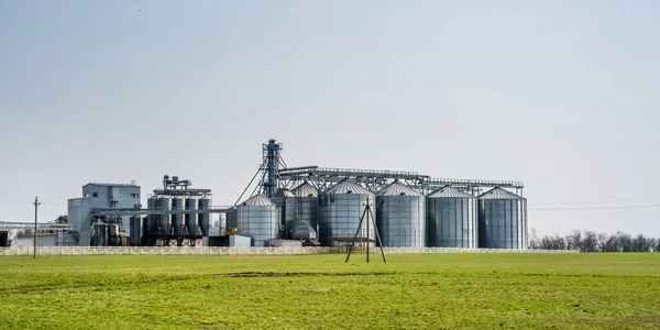 現代の穀倉地帯のエレベーター 農業製品 小麦粉 穀物や穀物の乾燥洗浄と保存を処理するための農業加工および製造工場上の銀サイロ 種子洗浄ライン — ストック写真