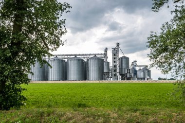 Modern Granary asansörü ve tohum temizleme hattı. Tarım işleme ve imalat tesisinde tarım ürünleri, un, tahıl ve tahıl işleme ve depolama için gümüş silolar. 