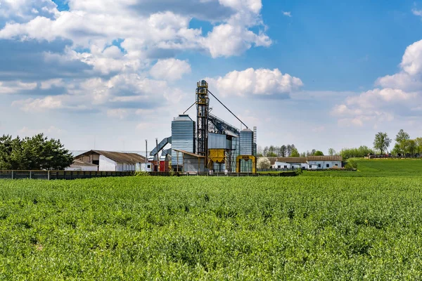 Modern Granary asansörü. Tarım işleme ve üretim tesisinde tarım ürünleri, un, tahıl ve tahıl işleme ve depolama için gümüş silolar. tohum temizleme hattı 