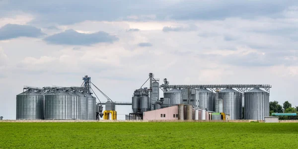 Moderner Kornspeicher Aufzug Und Saatgutreinigungslinie Silbersilos Auf Einer Landwirtschaftlichen Verarbeitungs — Stockfoto