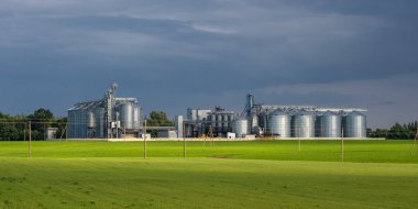 Modern Granary asansörü ve tohum temizleme hattı. Tarım işleme ve üretim tesisinde gümüş silolar depolama ve işleme için tarım ürünleri, un, tahıl ve tahıl kuru temizleme. 