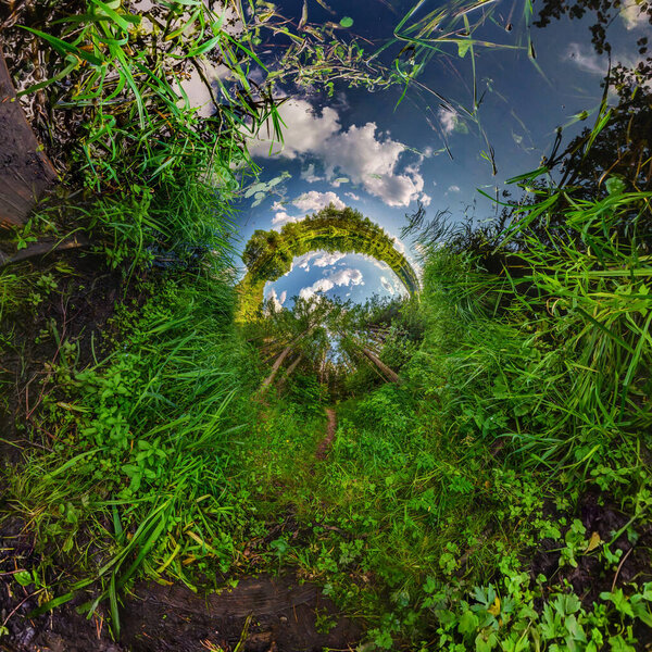green tiny planet transformation of spherical panorama 360 degrees. Spherical abstract aerial view on forest. Curvature of space.