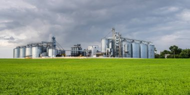 Modern Granary asansörü ve tohum temizleme hattı. Tarım işleme ve üretim tesisinde gümüş silolar depolama ve işleme için tarım ürünleri, un, tahıl ve tahıl kuru temizleme. 