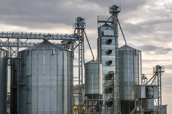 Moderner Kornspeicher Aufzug Und Saatgutreinigungslinie Silbersilos Auf Landwirtschaftlichen Verarbeitungs Und — Stockfoto