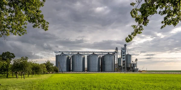 Modern Granary Lift Vetőmag Tisztító Vonal Ezüst Silók Mezőgazdasági Termékek — Stock Fotó